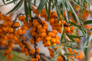 Narodnye recepty ot erozii shejki matki