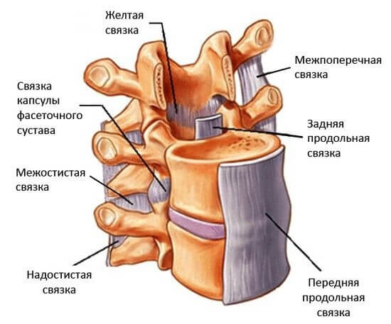 Лечение боли в пояснице в Киеве