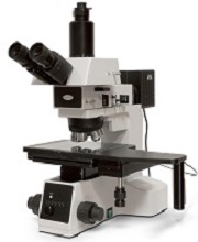 Женский мазок на флору