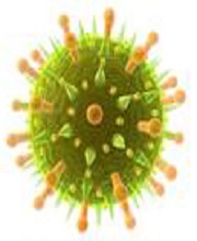 Анализ на скрытые инфекции