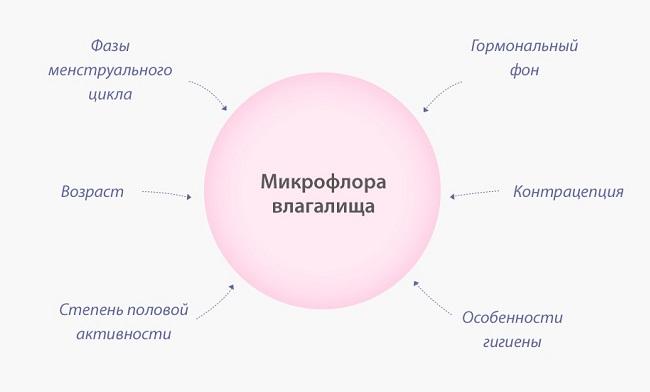 микрофлора
