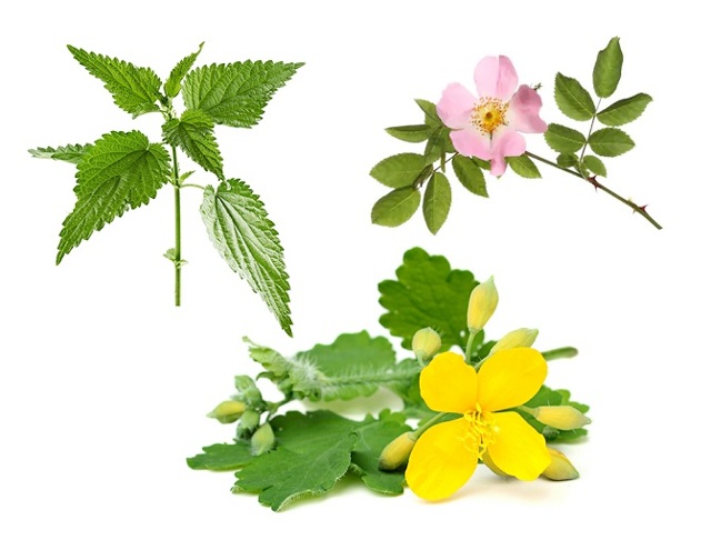 Как лечить эрозию шейки матки в домашних условиях