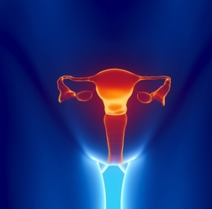 Эрозия шейки матки