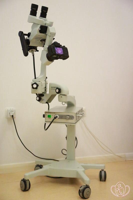 железистая псевдоэрозия шейки фото